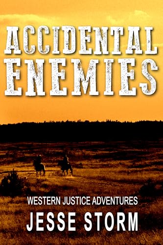 Accidental Enemies book cover
