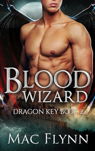 Blood Wizard book cover