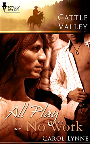 All Play & No Work book cover