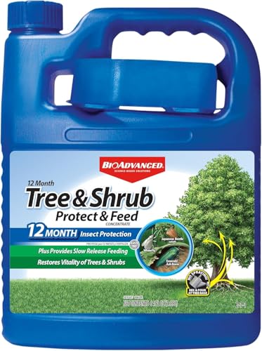 BioAdvanced 12 Month Tree and Shrub Fertilizer, Protect & Feed Concentrate, 64 oz, Insect Killer and Plant Food