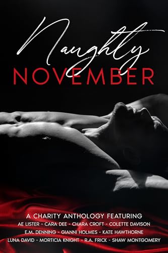 Naughty November book cover