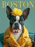 Boston Terrier Dogs in Fashion: A Visual Treat for Boston Terrier Lovers