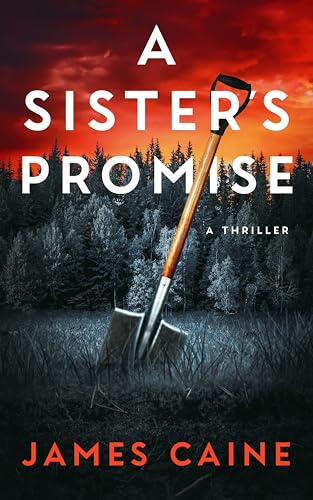 A Sister's Promise cover