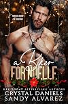A Biker for Noelle (Thirteen Bikers for Christmas)