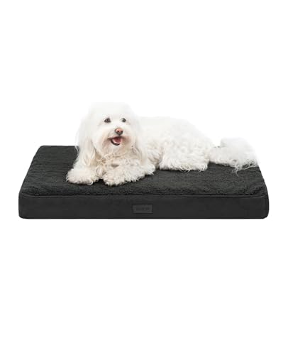 (-34%) lionto Hundebett orthopädisch, 76x51x8 cm, Robustes Hundekissen mit weichem Plüsch, Bezug abnehmbar & waschbar, wasserabweisend, geeignet für kleine & große Hunde + Katzen, schwarz
