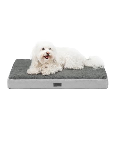 ⚡ BLITZDEAL (-34%) lionto Orthopädisches Hundebett mit Memory-Schaum, 76 x 51 x 8 cm, Grau
