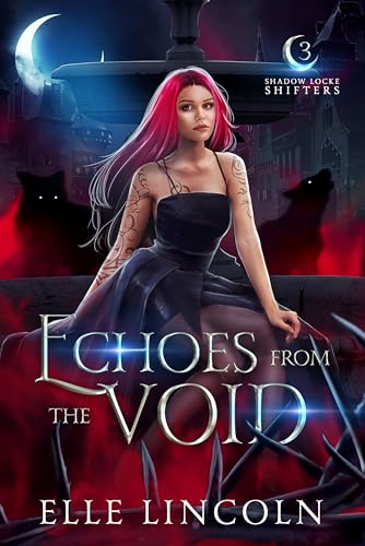 Echoes From the Void book cover