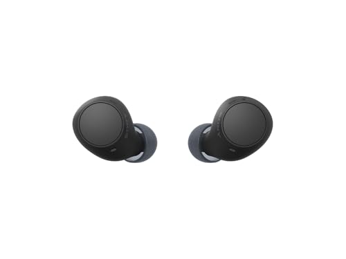 Sony WF-C510 Truly Wireless in-Ear Bluetooth Earbud Headphones with up to 22-Hour Battery, Multipoint-Connection, Mic and IPX4 Water Resistance, Black- New