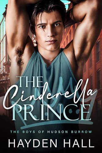 The Cinderella Prince book cover