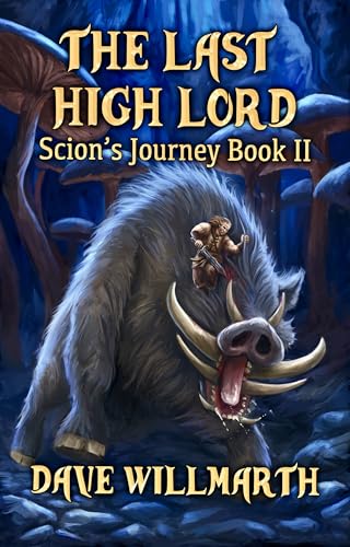 The Last High Lord book cover