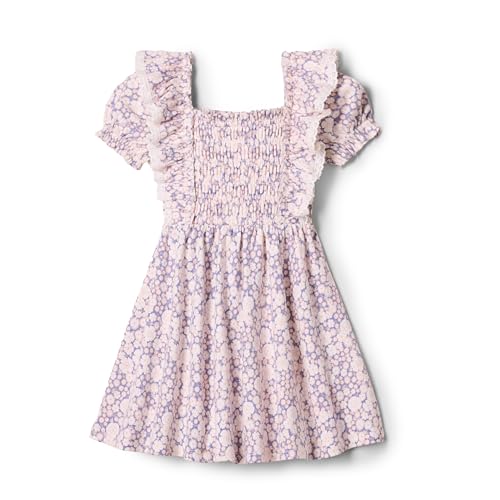 Amazon Essentials x Sofia Grainge Toddler Girls' Embroidered Knit Dress, Blue Ivory Delicate Floral, 4T