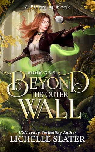 Beyond the Outer Wall book cover
