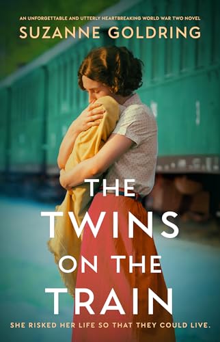 The Twins on the Train book cover