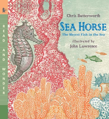 Sea Horse: The Shyest Fish in the Sea book cover