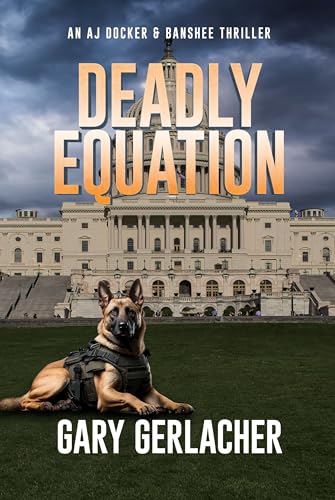 Deadly Equation book cover