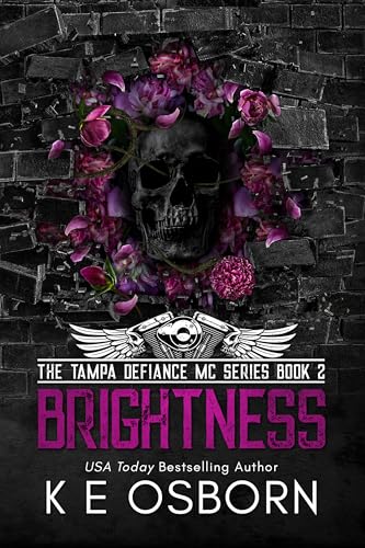Brightness book cover