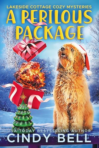 A Perilous Package book cover