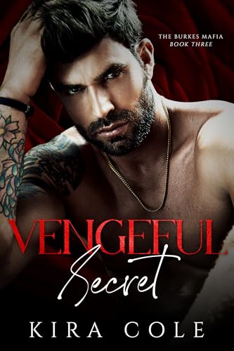 Vengeful Secret book cover