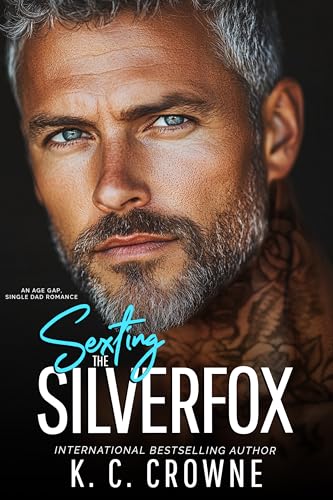 Sexting the Silverfox cover