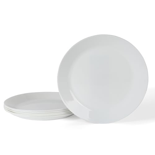 Martha Stewart Opalton 6 Piece 10 Inch Chip and Break Resistant Dinner Plates