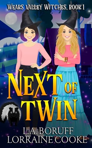 Next of Twin book cover