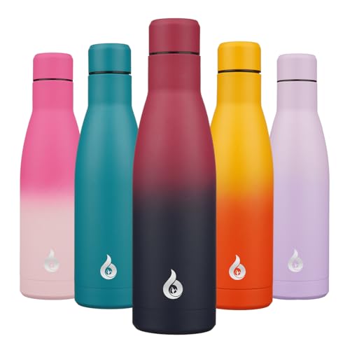 (-45%) BJPKPK Isolierte Trinkflasche 500 ml Edelstahl-Wasserflaschen Spülmaschinengeeignet Wiederverwendbarer Metall Thermos Reisebecher Hält Kalt & Heiß, Bezauberndes Schwarzrot