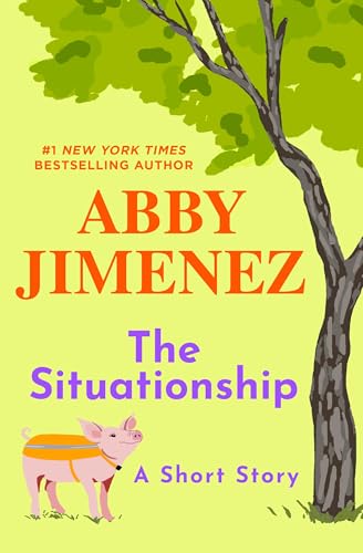 The Situationship cover