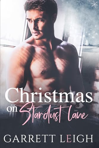 Christmas On Stardust Lane book cover