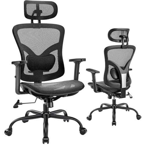 Marsail Ergonomic Mesh Office Chair: Mesh Desk Chair with Adjustable Lumbar Support, 2D Headrest &amp; Up and Down Armre