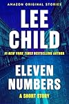 Eleven Numbers - story