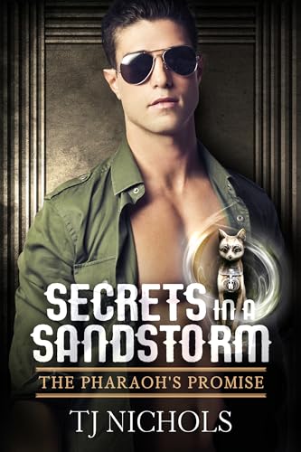 Secrets in a Sandstorm book cover