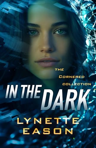 In the Dark : book cover