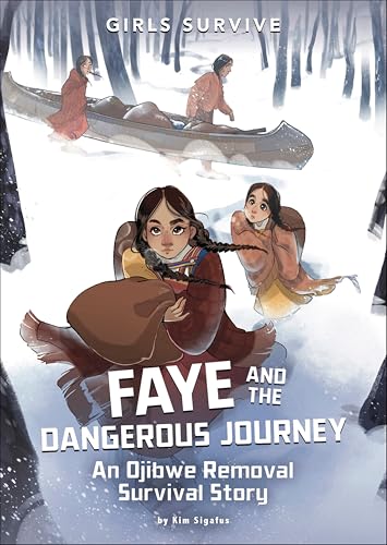 Faye and the Dangerous Journey book cover