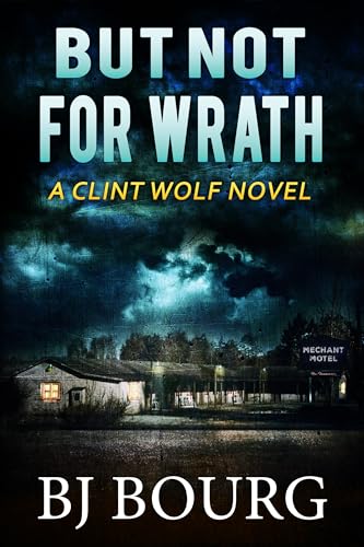 But Not For Wrath book cover