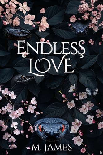 Endless Love book cover