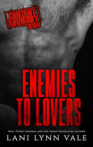 Enemies to Lovers book cover
