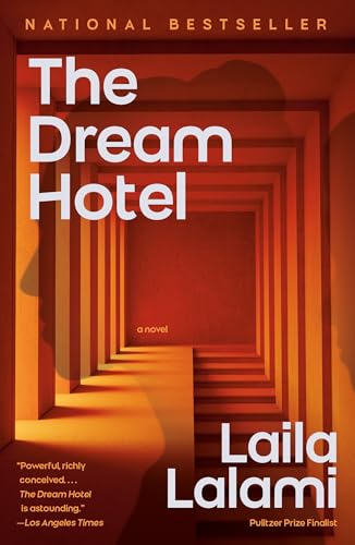 The Dream Hotel book cover