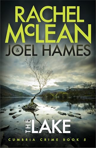 The Lake book cover