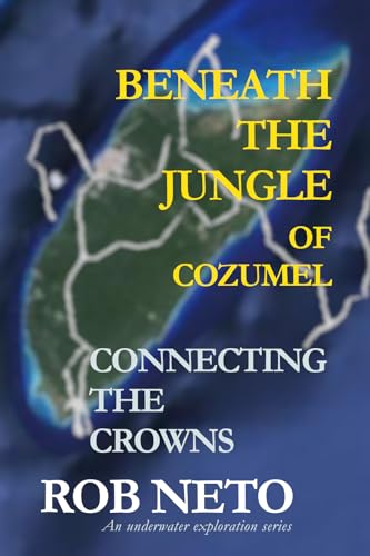 Beneath the Jungle of Cozumel book cover