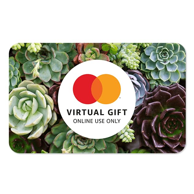 Mastercard Virtual $100 eGift Card (plus $5.95 purchase fee) – For Online Use Only