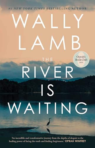 The River Is Waiting book cover