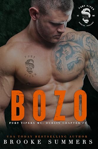 Bozo book cover