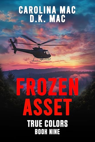 Frozen Asset book cover