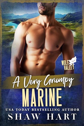 A Very Grumpy Marine book cover
