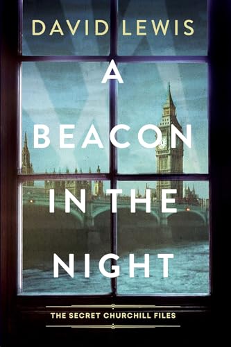 A Beacon in the Night book cover