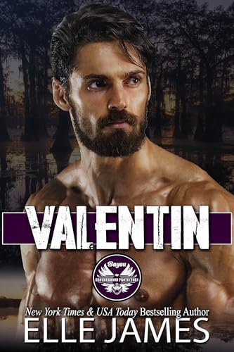 Valentin book cover