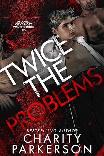 Twice the Problems book cover