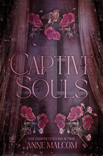 Captive Souls book cover