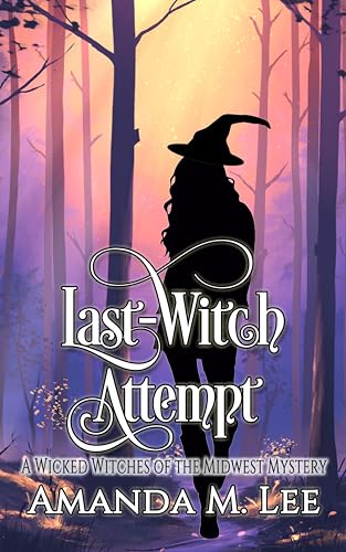 Last Witch Attempt book cover