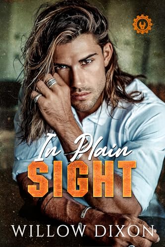 In Plain Sight book cover